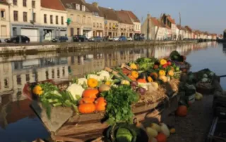 Vue des marais Audomarois avec une barque remplie de légumes frais