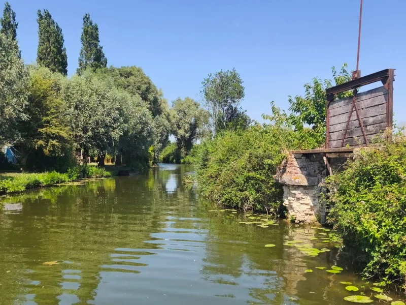 balade en barque dans les marais Audomarois
